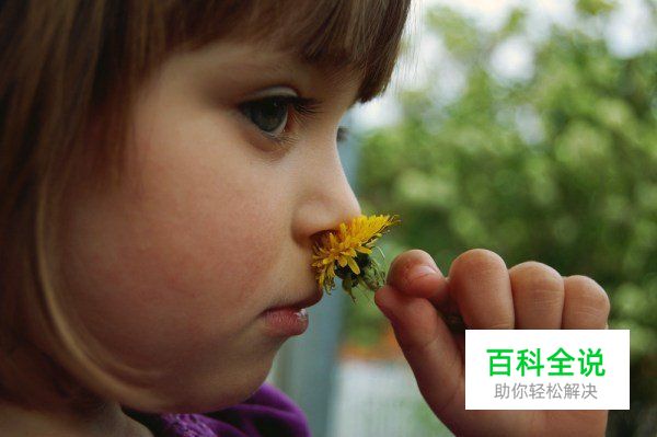 必须收藏的PS照片处理动作