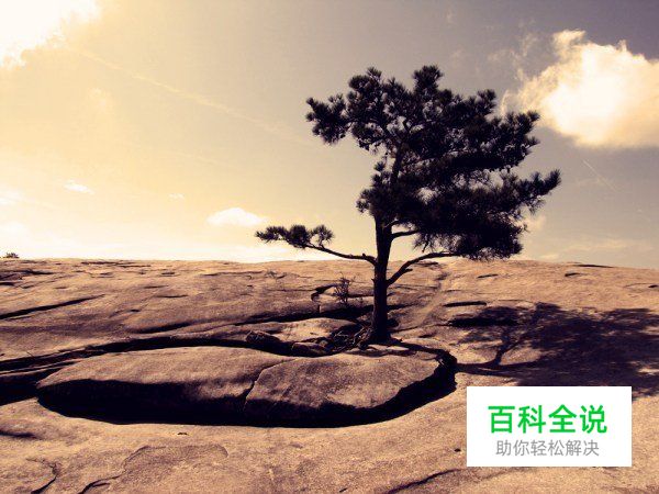 必须收藏的PS照片处理动作