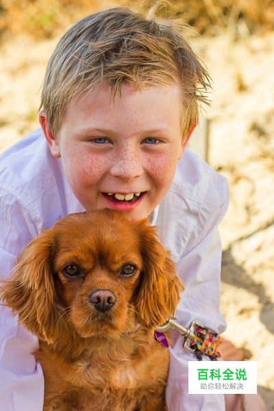 八招教你玩转宠物主题类摄影