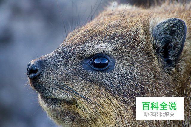 八种拍摄方式提升你的摄影技术