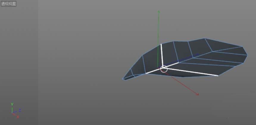C4D怎么建模一片绿色的叶子? c4d建模绿色叶子的教程