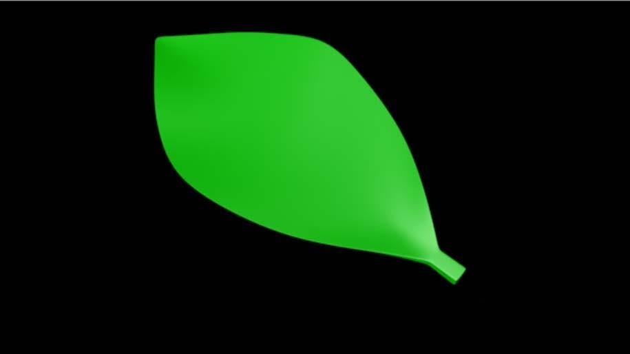 C4D怎么建模一片绿色的叶子? c4d建模绿色叶子的教程