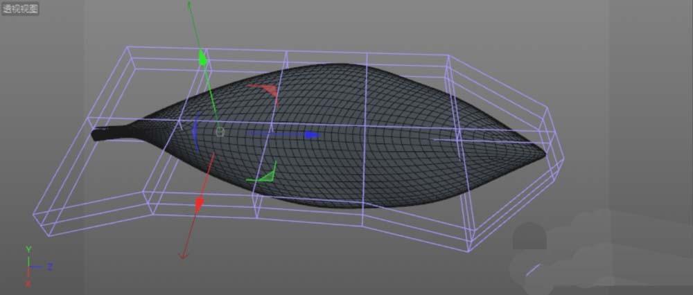 C4D怎么建模一片绿色的叶子? c4d建模绿色叶子的教程