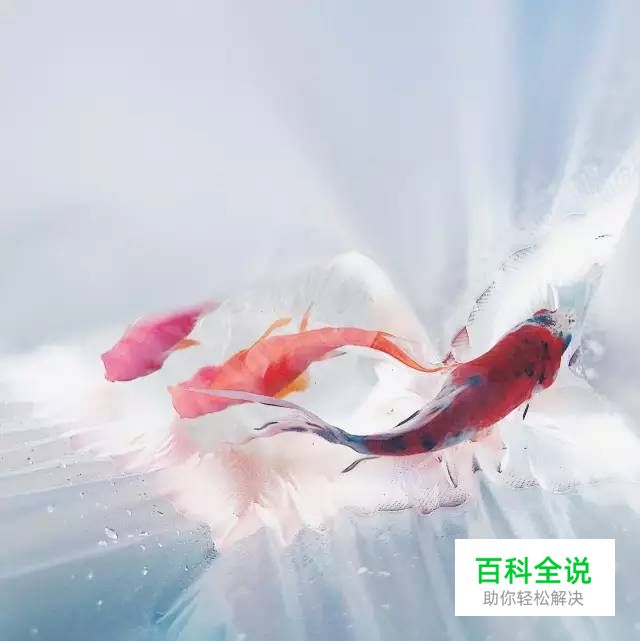 从5个角度，带你正确认知电商设计师价值！