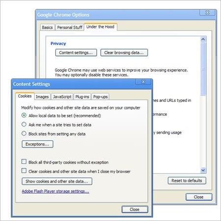 Chrome 浏览器4.1 正式版自动翻译工具