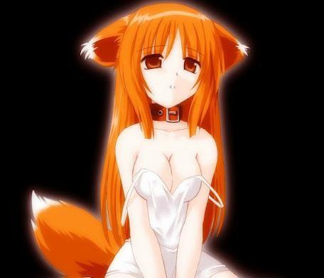 Chrome扩展程序简介 不仅仅是\