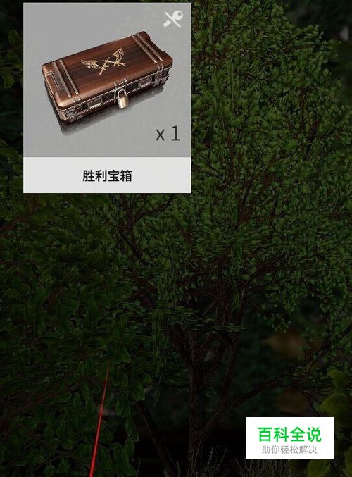 吃鸡怎么开胜利宝箱