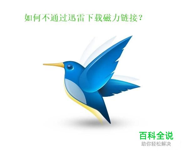 磁力链接迅雷下载不了 不用迅雷下载磁力链接