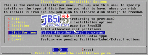 菜鸟学装FreeBSD5.1图解