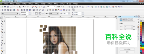 coreldraw x4 制作网格图片