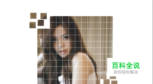 coreldraw x4 制作网格图片