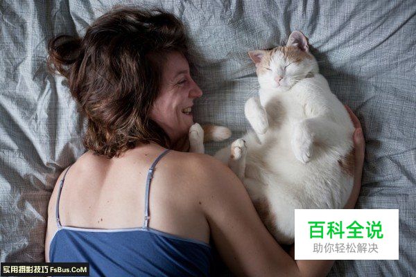 宠物摄影猫咪的拍摄技巧