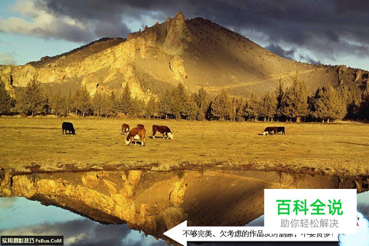 初学者如何快速提高自身的摄影水平