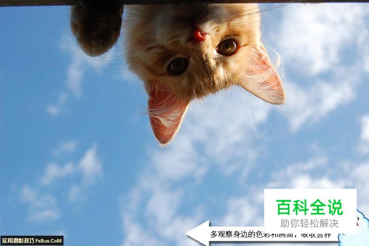 初学者如何快速提高自身的摄影水平