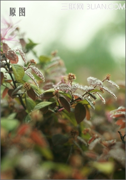 彩影用紫色打造童话般的浪漫梦境