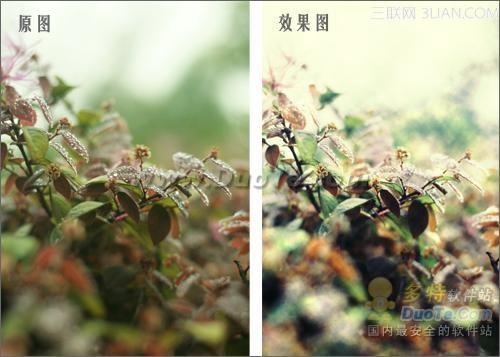 彩影用紫色打造童话般的浪漫梦境