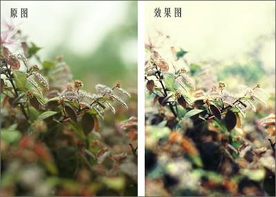 彩影怎么制作浪漫梦境效果