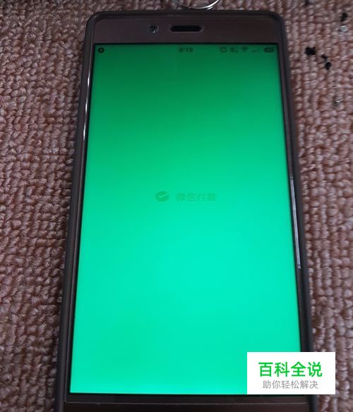 锤子手机指纹解锁弹出支付宝支付界面的解决办法