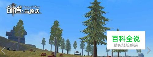 创造与魔法独角兽怎么进化