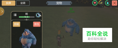 创造与魔法宠物怎么升级