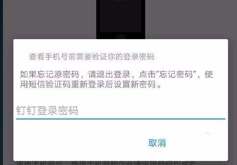 钉钉怎么注销账户? 钉钉账户注销的方法