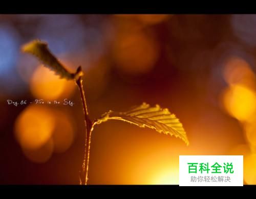 单反手动拍摄技巧详解