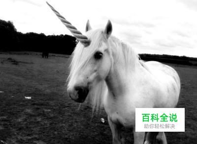 独角兽公司是什么意思?中国互联网独角兽公司盘点