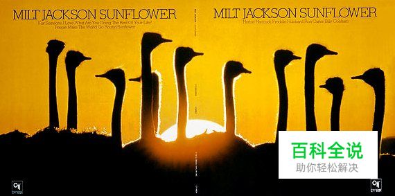 顶级摄影大师言传摄影技巧