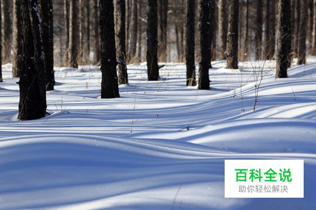 冬季雪景拍摄攻略