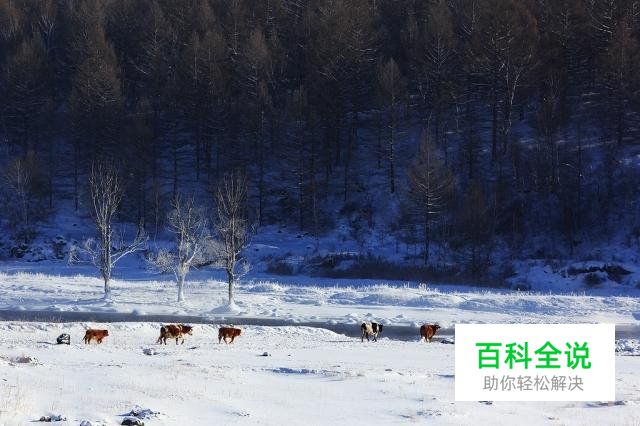 冬季雪景拍摄攻略