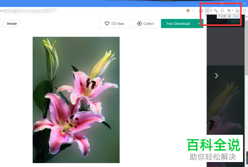 电脑遨游浏览器中怎么将开发者工具打开