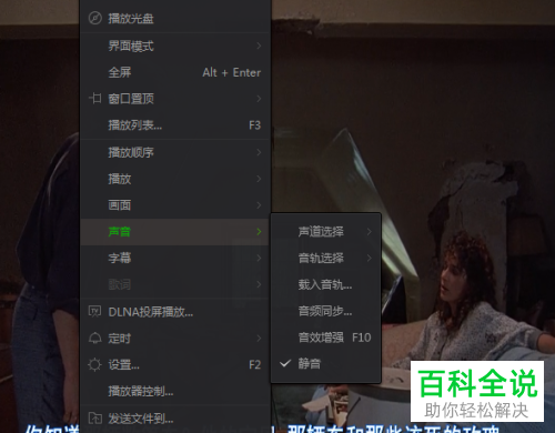 电脑爱奇艺万能播放器怎么开启音效增强功能