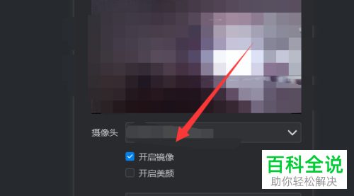 电脑版钉钉在视频会议时画面反了如何解决