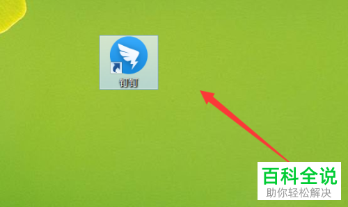 电脑版钉钉在视频会议时画面反了如何解决