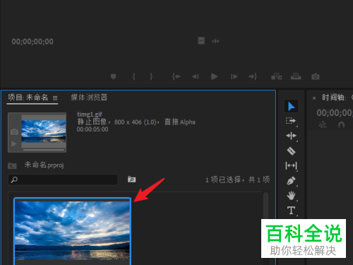 电脑版Pr怎么调整视频的颜色