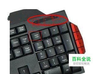 电脑打开了键盘灯没亮怎么办