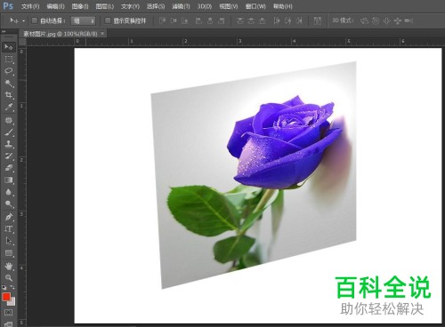 电脑端PS如何将照片调正