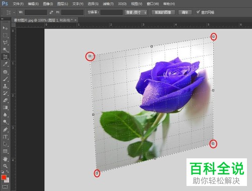 电脑端PS如何将照片调正