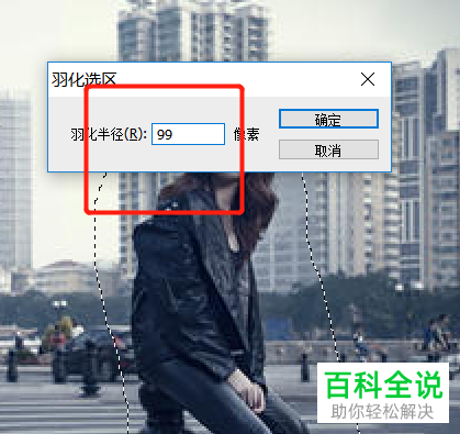电脑端PS怎么将照片局部部分进行提亮