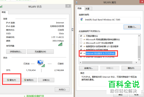 电脑的域名在哪查看