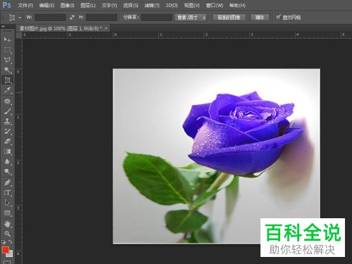 电脑端PS如何将照片调正