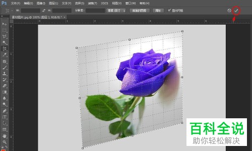 电脑端PS如何将照片调正