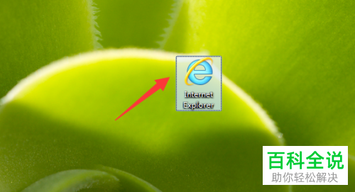 电脑IE浏览器如何将收藏栏进行显示/隐藏