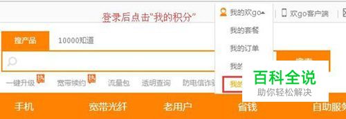 到哪里可以查询我的积分？