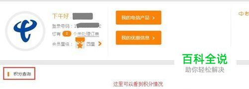 到哪里可以查询我的积分？