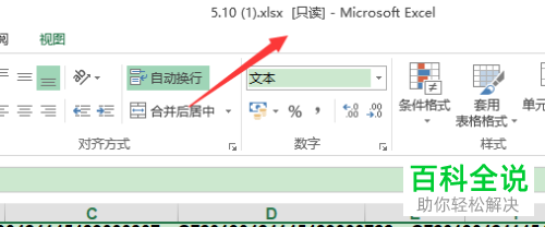 电脑内怎么将excel工作簿以只读或者副本的方式打开