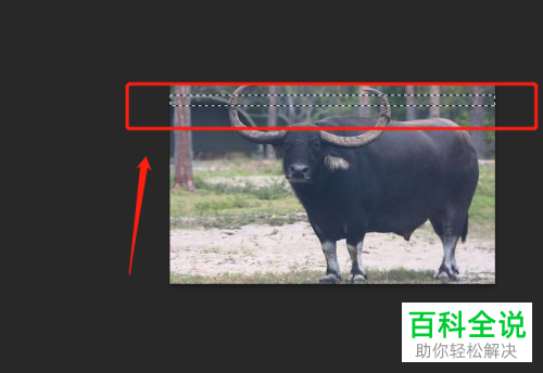 电脑PS软件中照片的边框如何添加