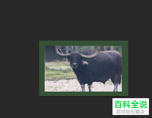 电脑PS软件中照片的边框如何添加