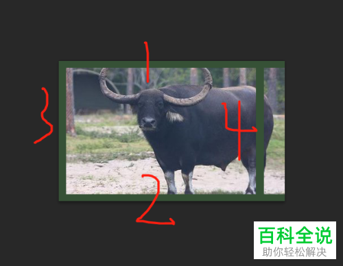 电脑PS软件中照片的边框如何添加