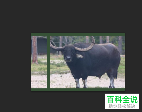 电脑PS软件中照片的边框如何添加